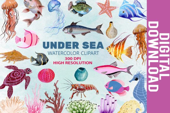 Download Underwater Sea Animal Artwork - Anima Collection