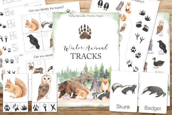 Download Winter Animal Tracks Unit Study - Anima Collection