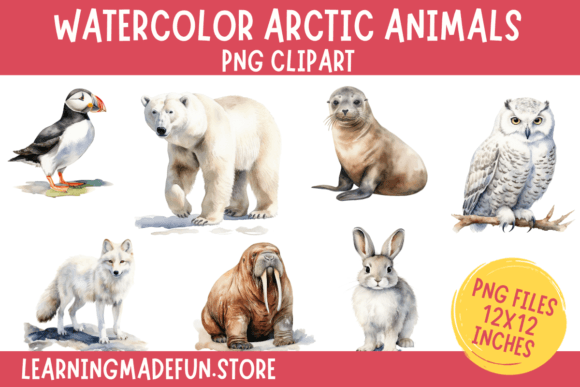 Download Watercolor Arctic Animals Clipart PNG - Anima Collection