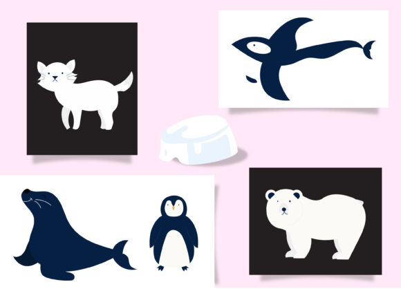 Download Arctic Animal Set Bundle&nbsp; - Anima Collection