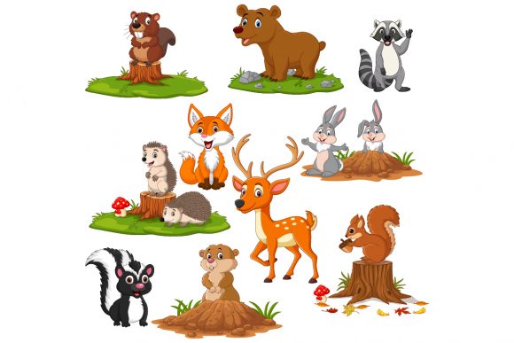 Download Set of Cute Cartoon Woodland Animals - Anima Collection