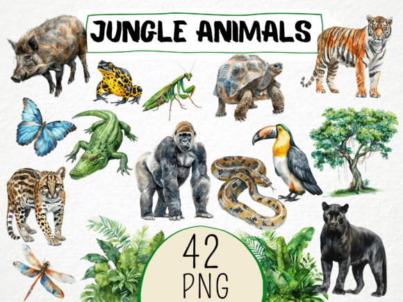 Download Watercolor Jungle Animals Clipart 42 Png - Anima Collection