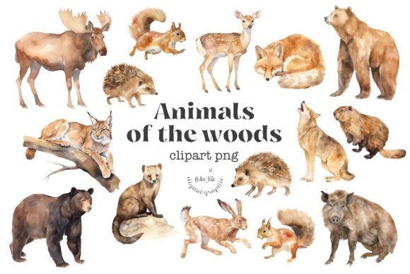 Download Woodland Animals - Anima Collection