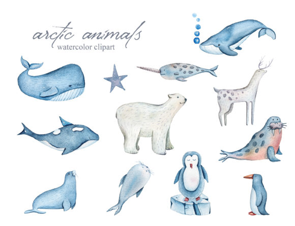 Download Watercolor Arctic Animals Clipart-39 Png - Anima Collection