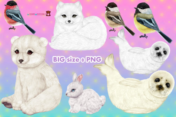 Download Arctic Animals - Anima Collection
