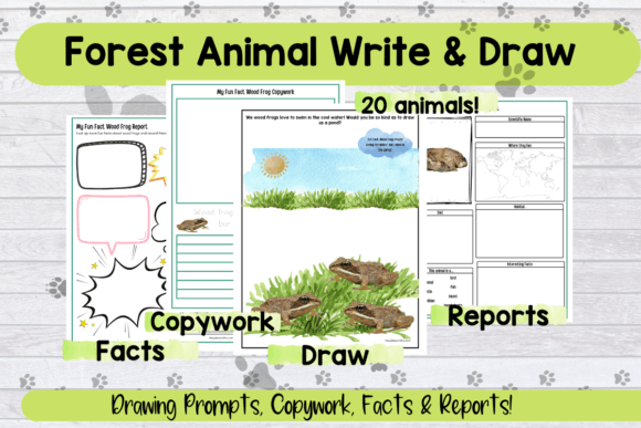 Download Forest Animal Drawing Writing Prompts - Anima Collection
