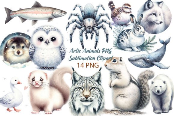 Download Arctic Animals PNG Sublimation Clipart - Anima Collection