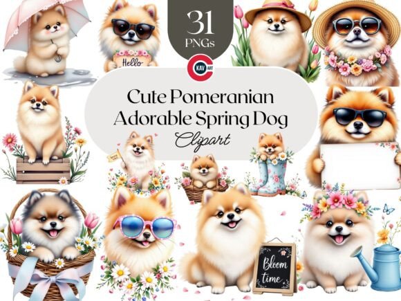 Download Cute Pomeranian Dog, Adorable Animal PNG - Anima Collection