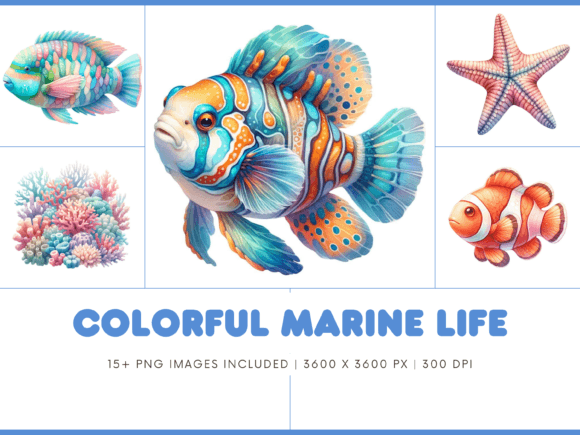 Download Colorful Marine Life Animals - Anima Collection