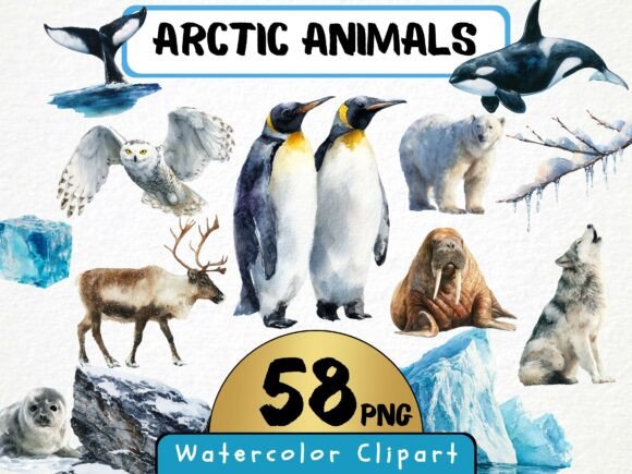 Download Arctic Animals Clipart 58 PNG - Premium Resources