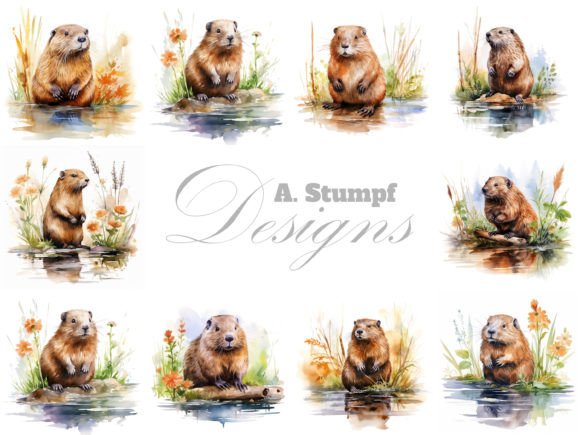 Download Beaver Clipart Watercolor Animal Bundle - Anima Collection