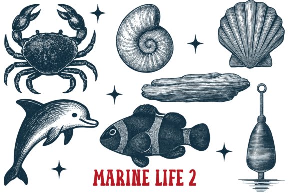 Download Marine Life 2 Vintage Ocean Animals Sea - Anima Collection