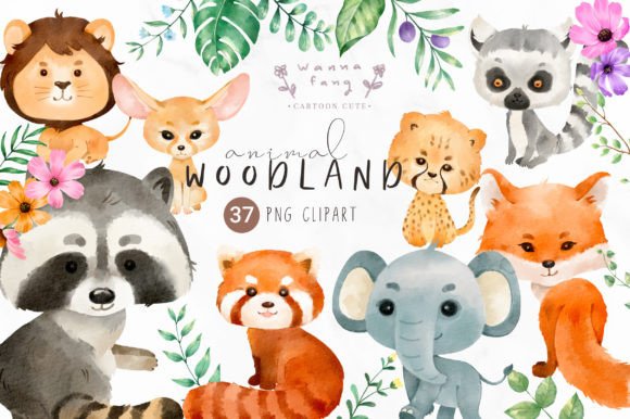 Download Watercolor Woodland Animal Clipart, PNG - Anima Collection