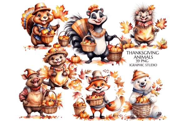 Download Thanksgiving Animals, Autumn Woodland - Anima Collection