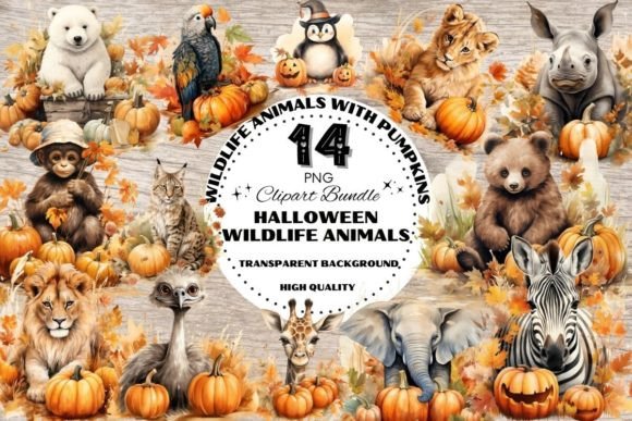 Download Wildlife Animals with Halloween Pumpkins - Anima Collection