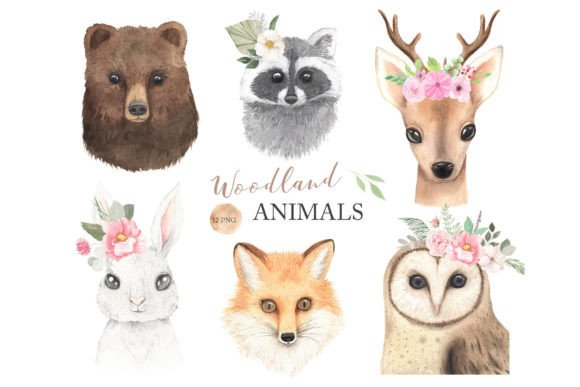 Download Watercolor Woodland Animals Clipart - Anima Collection