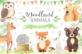 Download Watercolor Woodland Animals Set - Anima Collection
