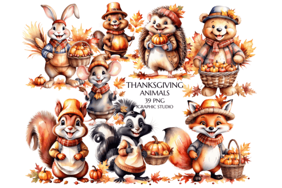 Download Thanksgiving Animals, Autumn Woodland - Anima Collection