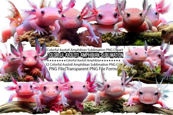 Download Colorful Axolotl Amphibian Sublimation - Sublimation Collection
