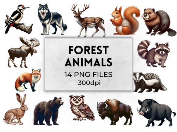 Download Forest Animals Woodland Creatures - Anima Collection